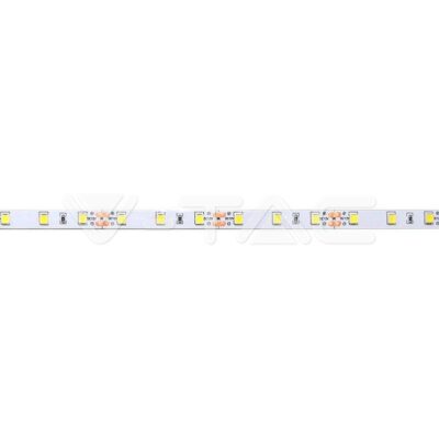 V-TAC VT-2933 LED Лента 4040 60/1 12V 6400K IP20