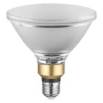 Osram 4058075264069 ЛЕД Лампа P PAR38 12W 2700K E27