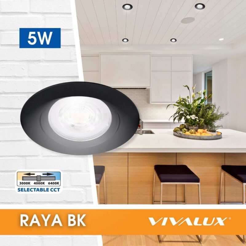 VivaluxVIV005138Кръгла LED луна за вграждане RAYA LED 5W черна CCT-switch 3000K-4000K-6400K