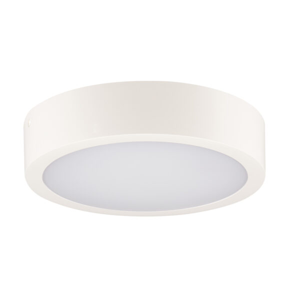 Kanlux 39024 LED плафониера DABER CCT LED DABER 12-20W CCT W
