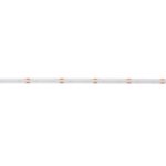Kanlux 39784 LED лента LCOB 10.5W/M 24IP65-B