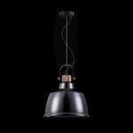Maytoni T163PL-01C Пендел Irving