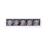 V-TAC VT-979 LED Луна SAMSUNG Чип 20W Рефлектор UGR<19 12° 5700K