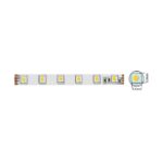 Vito 5540450 LED лента STRIP PLUS 12V 60x5050. 14.4W. 3M (самозалепваща лента). 10mm. IP20. RGBW. 5m ролка