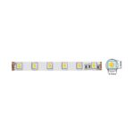 Vito 5540490 LED лента STRIP PLUS 24V 60x5050. 14.4W. 3M (самозалепваща лента). 10mm. IP20. RGBW. 5m ролка