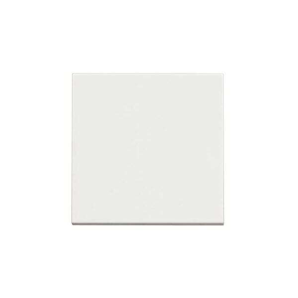 BTicino 8005543632994 ДВУМОДУЛЕН БУТОН CLASSIA БЯЛ