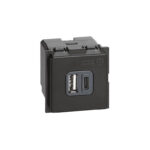 BTicino 8005543622452 ДВУМОДУЛЕН ЛИЦЕВ USB ПАНЕЛ ТИП A+C 3000/1500mA LIVING NOW