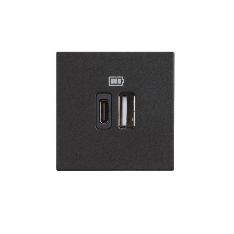 legrand-usb-rozetka-tip-a-i-s-2-modula-classia-legrand-cheren.jpg BTicino 8005543632550 USB РОЗЕТКА ТИП A И С 2 МОДУЛА CLASSIA ЧЕРЕН