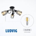 Vivalux VIV005298 Плафон LUDVIG CL978-3C 3хЕ14 метал+стъкло черен