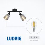 Vivalux VIV005297 Спот LUDVIG SP977-2L 2xE14 метал+стъкло черен