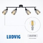 Vivalux VIV005299 Спот LUDVIG SP979-4L 4xE14 метал+стъкло черен