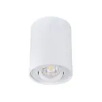 Kanlux 22551 Точково таванно осветително тяло BORD GU10 220V IP20