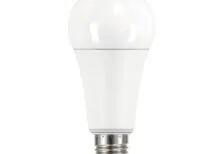 Kanlux 33748 LED Лампа източник на светлина IQ-LED A67 IQ-LED A67 N 19W-CW