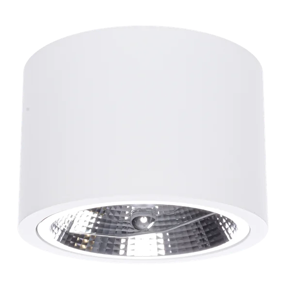 Milagro ML5697 Осветително тяло за повърхностен монтаж Redondo White 1xES111 GU10