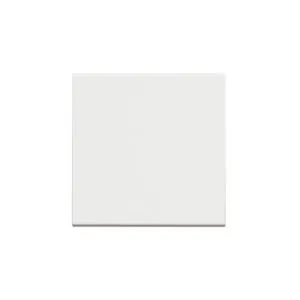 BTicino 8005543632994 ДВУМОДУЛЕН БУТОН CLASSIA БЯЛ