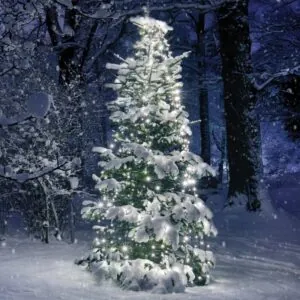 ACA Lighting X08350211 350 LED октопод – 10 нишки × 35 LED мултиколор адаптер 31VDC IP44 3м зелен кабел