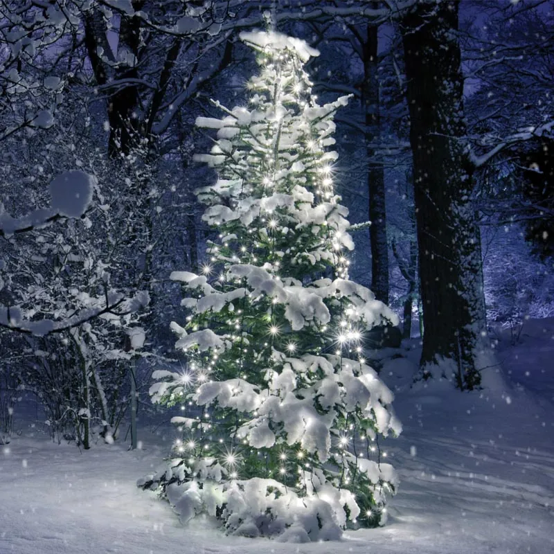 cool.jpg ACA Lighting X08350211 350 LED октопод – 10 нишки × 35 LED мултиколор адаптер 31VDC IP44 3м зелен кабел