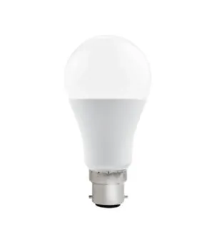 Vito 1519830 LED BULB BASIS A60 15W B22 6400K 1395lm